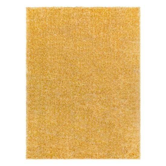 Surya Cloudy Shag Cdg-2323 Rug 5'3" X 7'