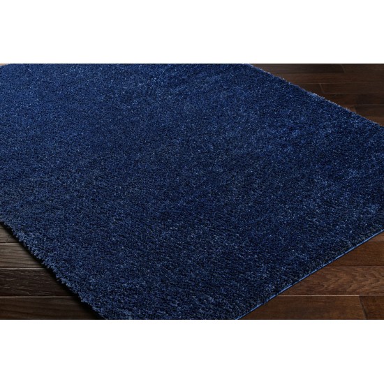 Surya Cloudy Shag Cdg-2326 Rug 7'10" X 10'