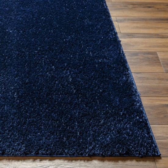 Surya Cloudy Shag Cdg-2326 Rug 7'10" X 10'