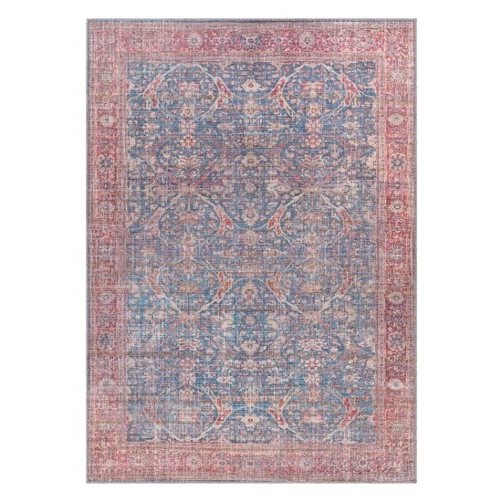 Surya Cobb Rug 5'3" X 7'3" - Blue, Red