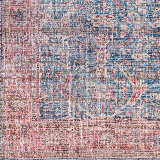 Surya Cobb Rug 5'3" X 7'3" - Blue, Red