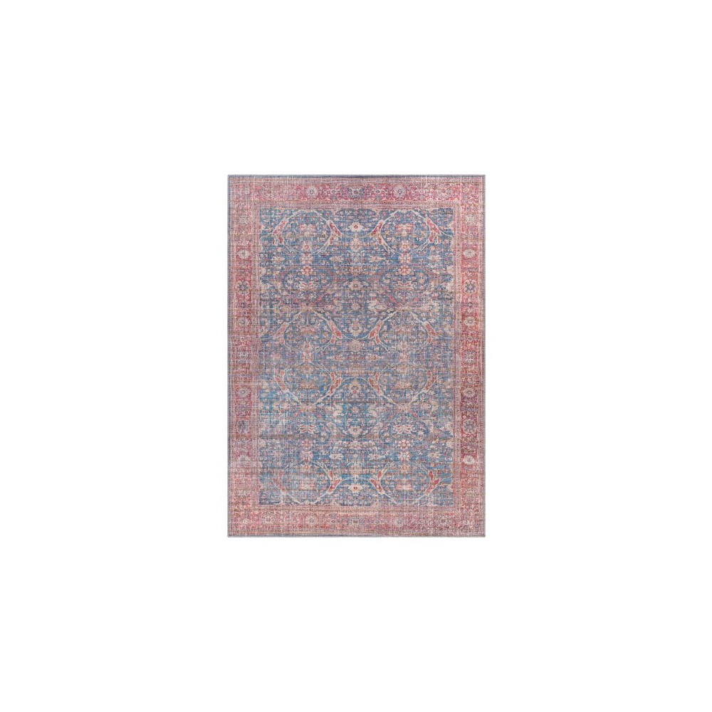 Surya Cobb Rug 6'7" X 9' - Blue, Red