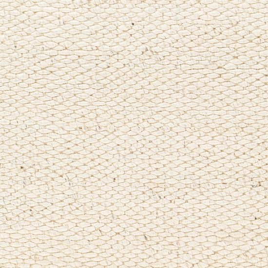 Surya Coil Bleached Rug 4' X 6'