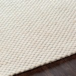 Surya Colarado Cream Rug 2' X 3'