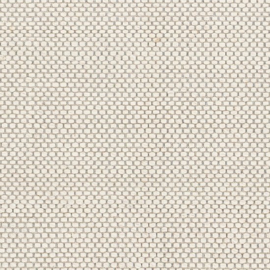 Surya Colarado Cream Rug 2' X 3'