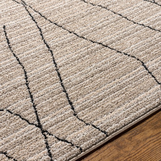 Surya Cozy Czy-2300 Rug 2'7" X 7'3"