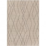 Surya Cozy Czy-2300 Rug 3'11" X 5'7"