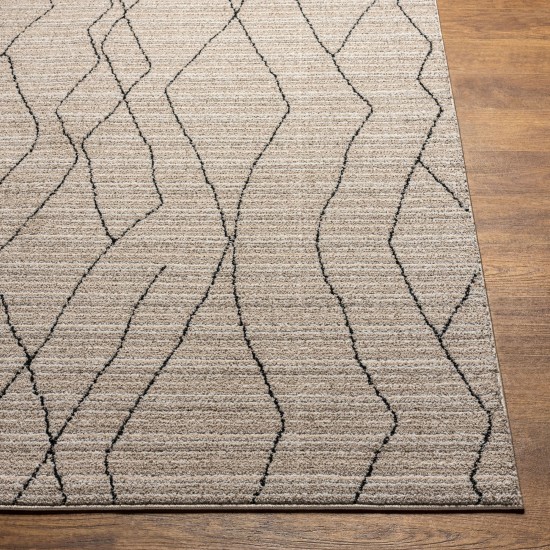 Surya Cozy Czy-2300 Rug 6'7" X 9'