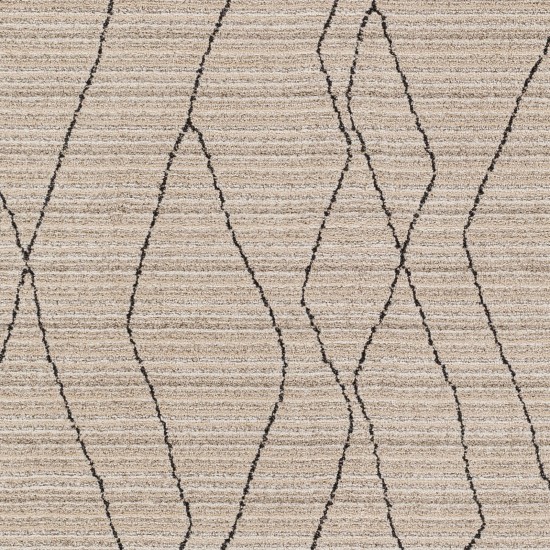 Surya Cozy Czy-2300 Rug 6'7" X 9'