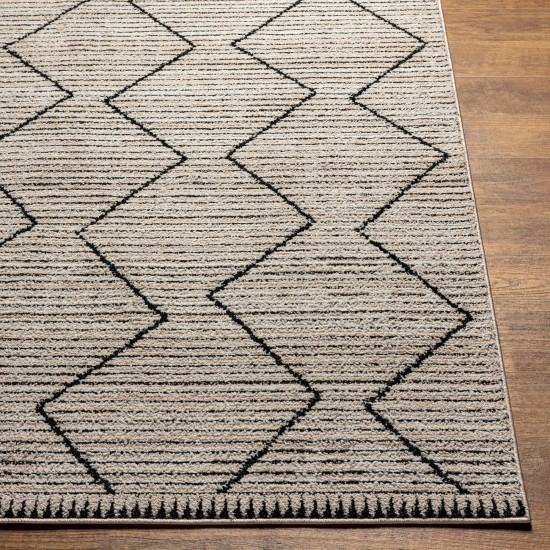 Surya Cozy Czy-2302 Rug 5'3" X 7'
