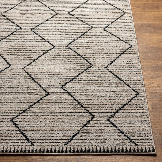 Surya Cozy Czy-2302 Rug 7'10" X 10'