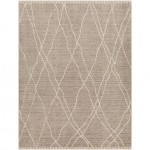 Surya Cozy Czy-2303 Rug 3'11" X 5'7"