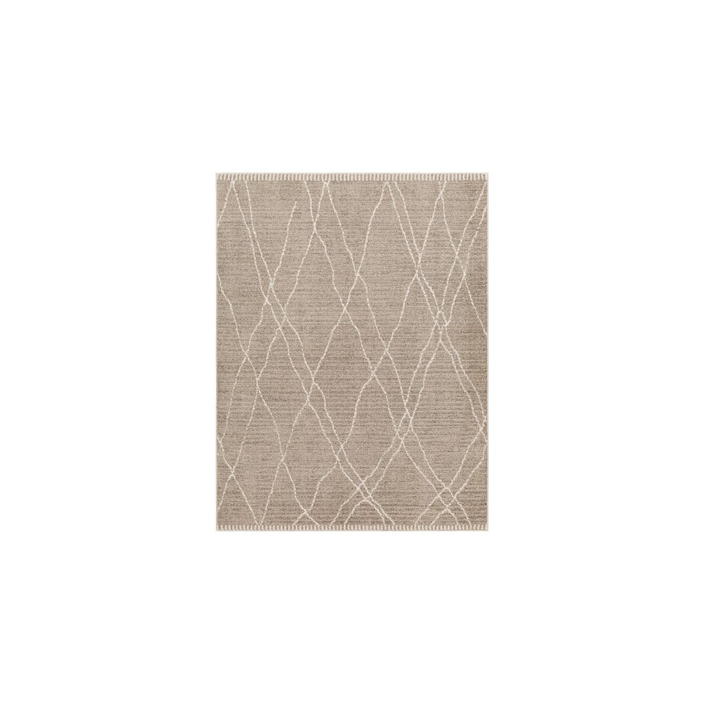 Surya Cozy Czy-2303 Rug 3'11" X 5'7"