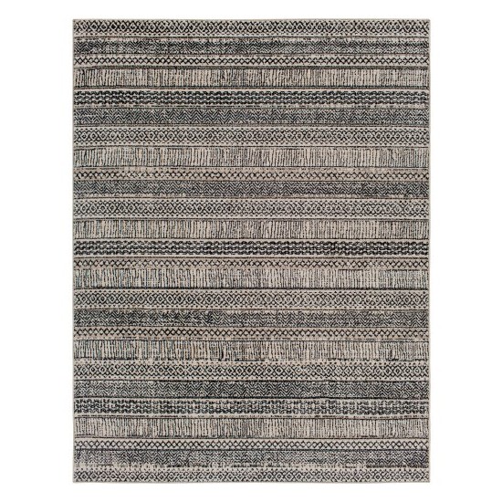 Surya Cozy Czy-2305 Rug 3'11" X 5'7"