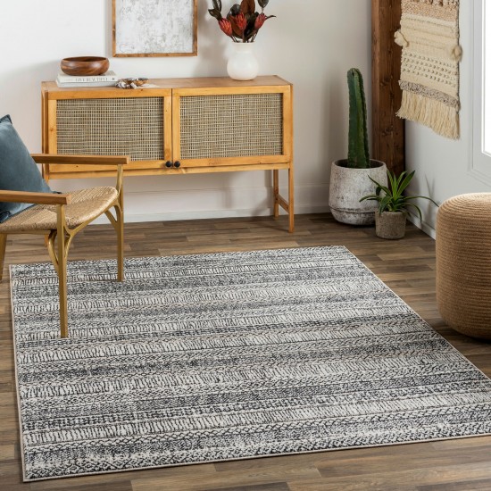 Surya Cozy Czy-2305 Rug 3'11" X 5'7"