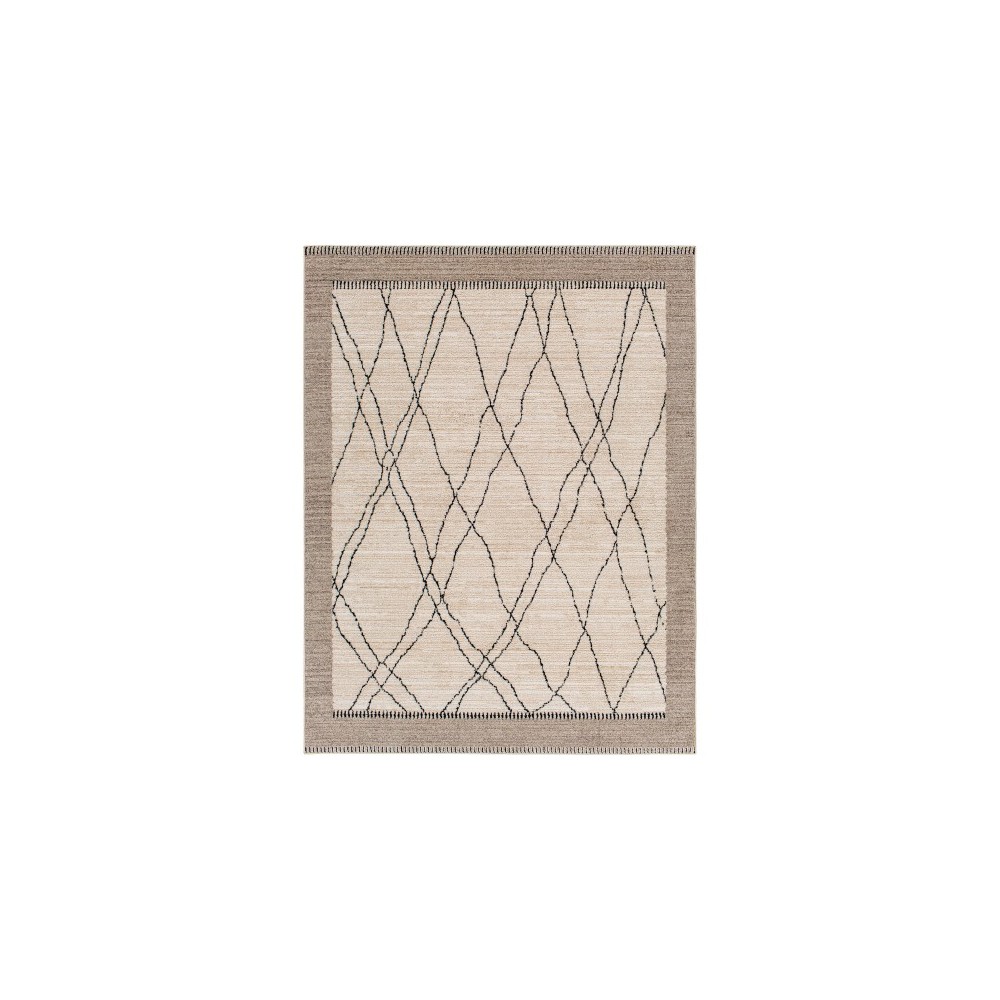 Surya Cozy Czy-2306 Rug 3'11" X 5'7"