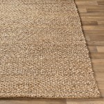 Surya Curacao Light Brown Rug 10' X 14'