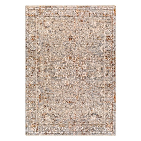 Surya Arya Rug 2' X 3'3" Medium Gray