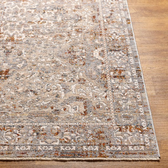 Surya Arya Rug 3'3" X 10' Medium Gray