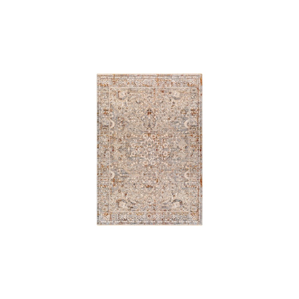 Surya Arya Rug 3'3" X 5' Medium Gray Surya Arya Rug 3'3" X 5' Medium Gray