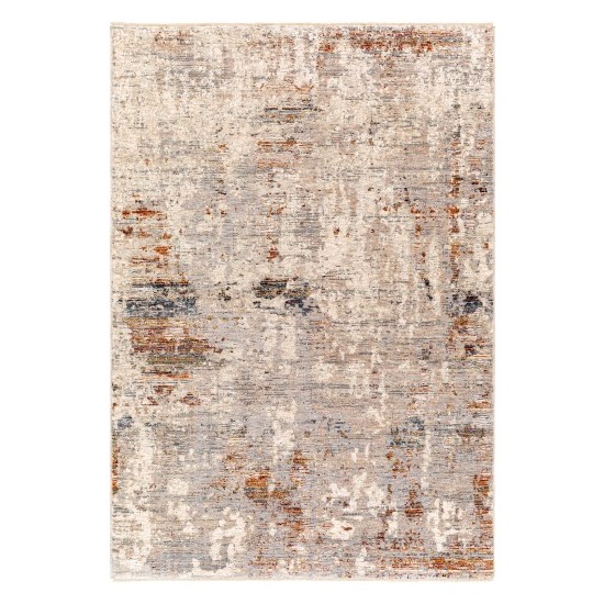 Surya Arya Light Gray Rug 2' X 3'3"