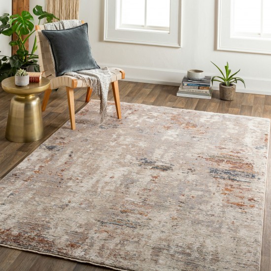 Surya Arya Light Gray Rug 2' X 3'3"