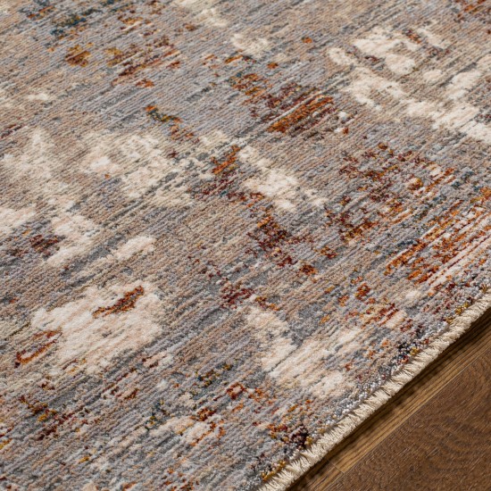 Surya Arya Light Gray Rug 8'10" X 12'10"