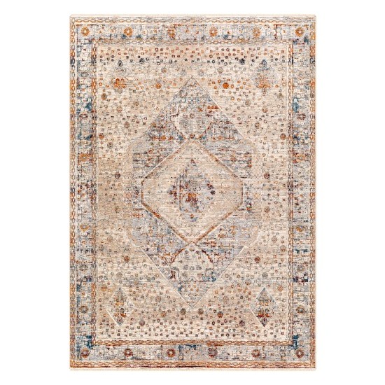 Surya Arya Rug 2' X 3'3" (Medium Gray)