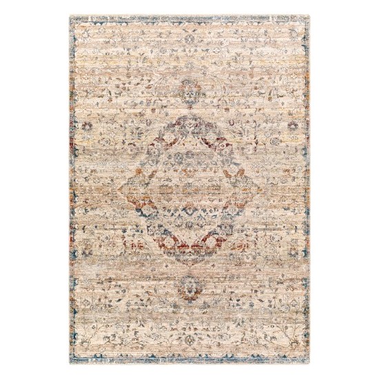 Surya Arya Medium Gray Rug 2' X 3'3"