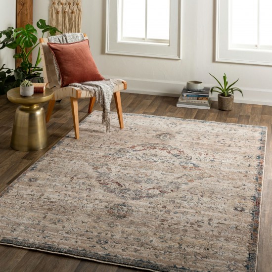 Surya Arya Medium Gray Rug 2' X 3'3"