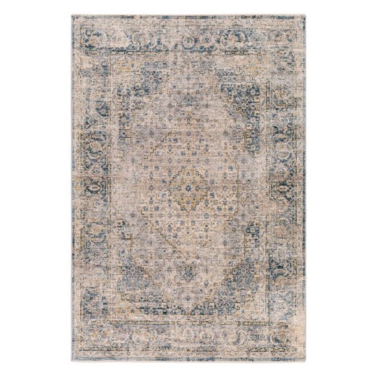 Surya Aspendos Rug 10' X 14' Denim