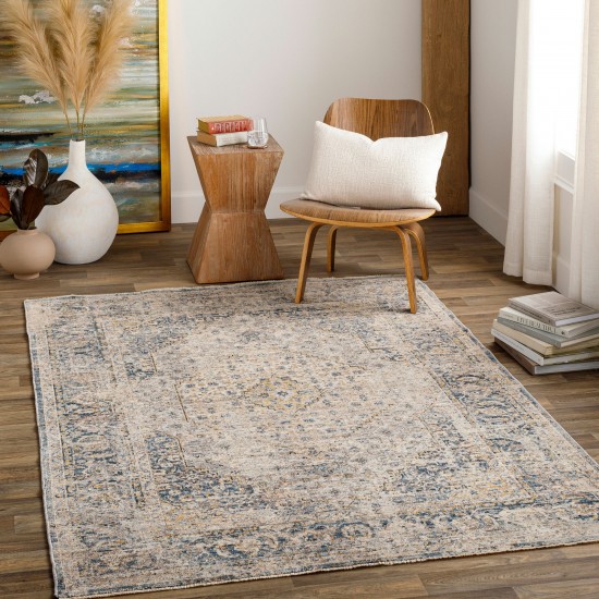 Surya Aspendos Rug 10' X 14' Denim