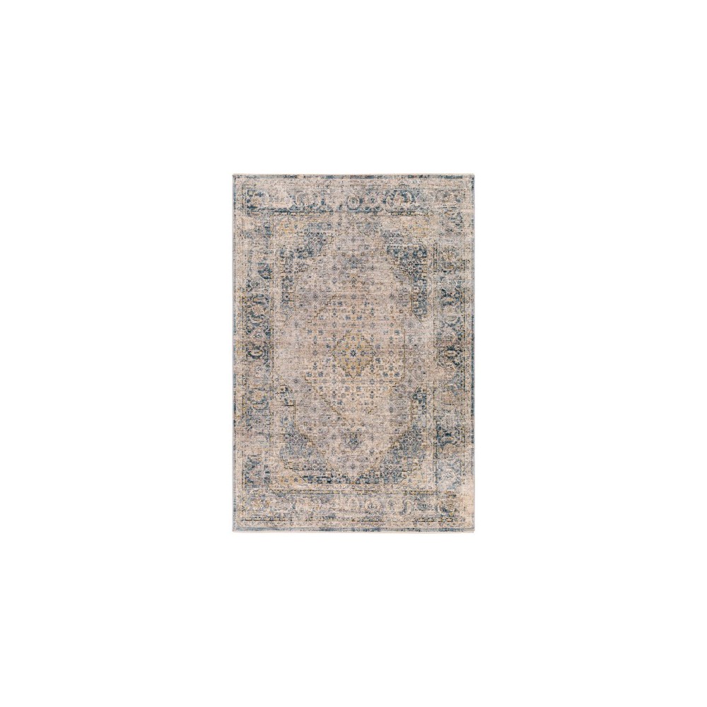 Surya Aspendos Rug 12' X 15' Denim