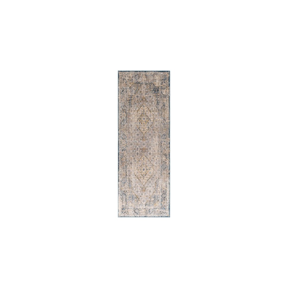 Surya Aspendos Rug 2'7" X 7'3" Denim