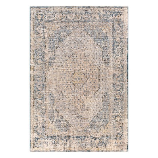 Surya Aspendos Rug 6'7" X 9'6" Denim