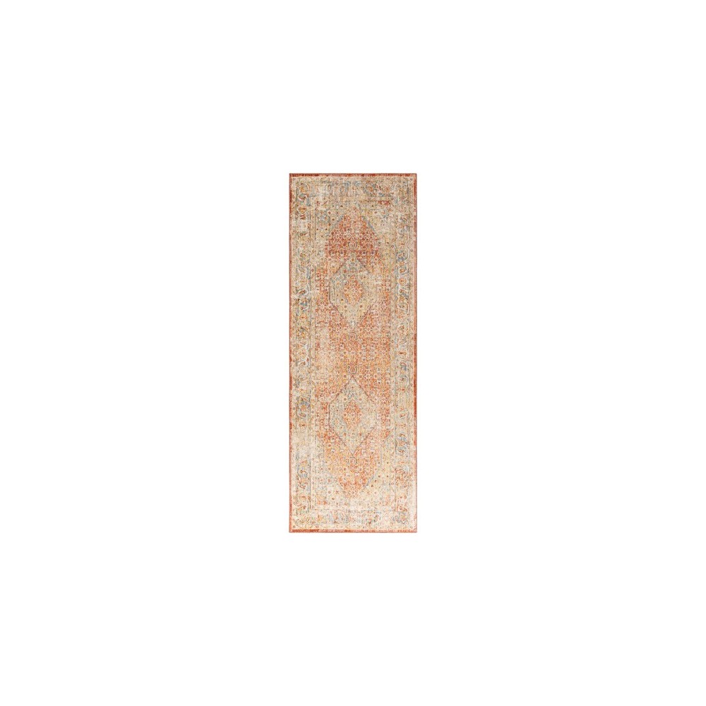 Surya Aspendos Rug 2'7" X 7'3" Brick Red