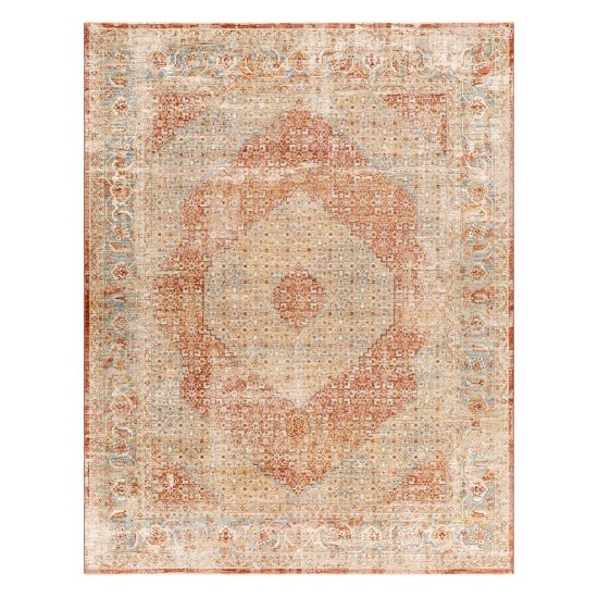 Surya Aspendos Rug 7'10" X 10'3" Brick Red