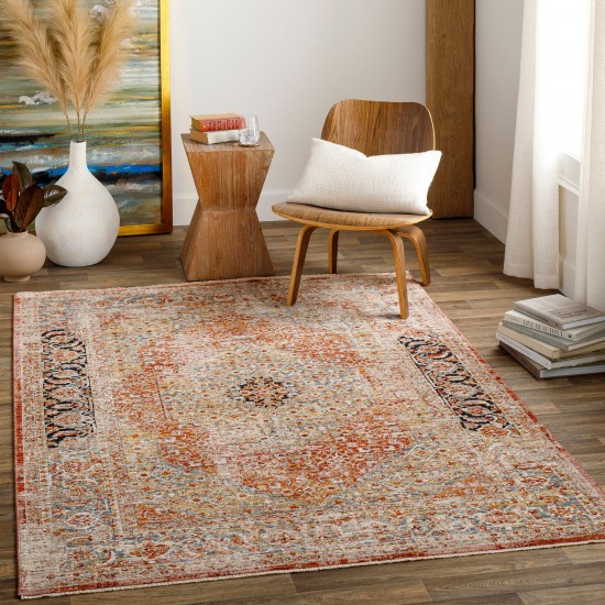 Surya Aspendos Rug 12' X 15' - Brick Red