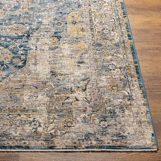 Surya Aspendos Aps-2304 Rug 10' X 14'