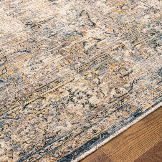 Surya Aspendos Aps-2304 Rug 10' X 14'