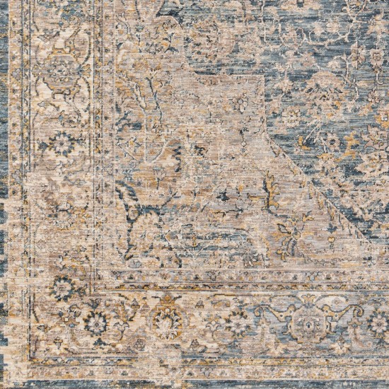 Surya Aspendos Aps-2304 Rug 10' X 14'