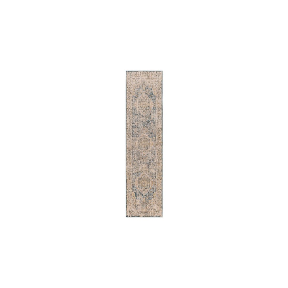 Surya Aspendos Aps-2304 Rug 2'7" X 10' Surya Aspendos Aps-2304 Rug 2'7" X 10'