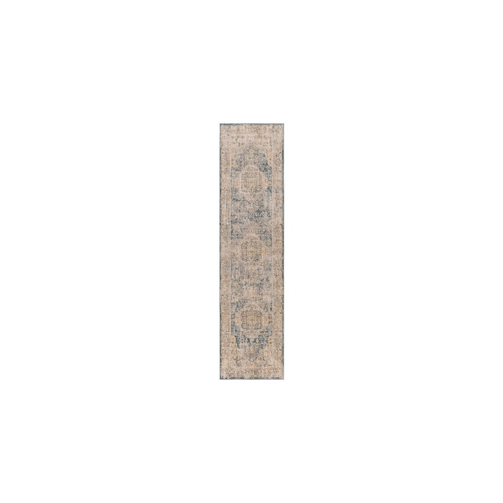 Surya Aspendos Aps-2304 Rug 2'7" X 7'3"