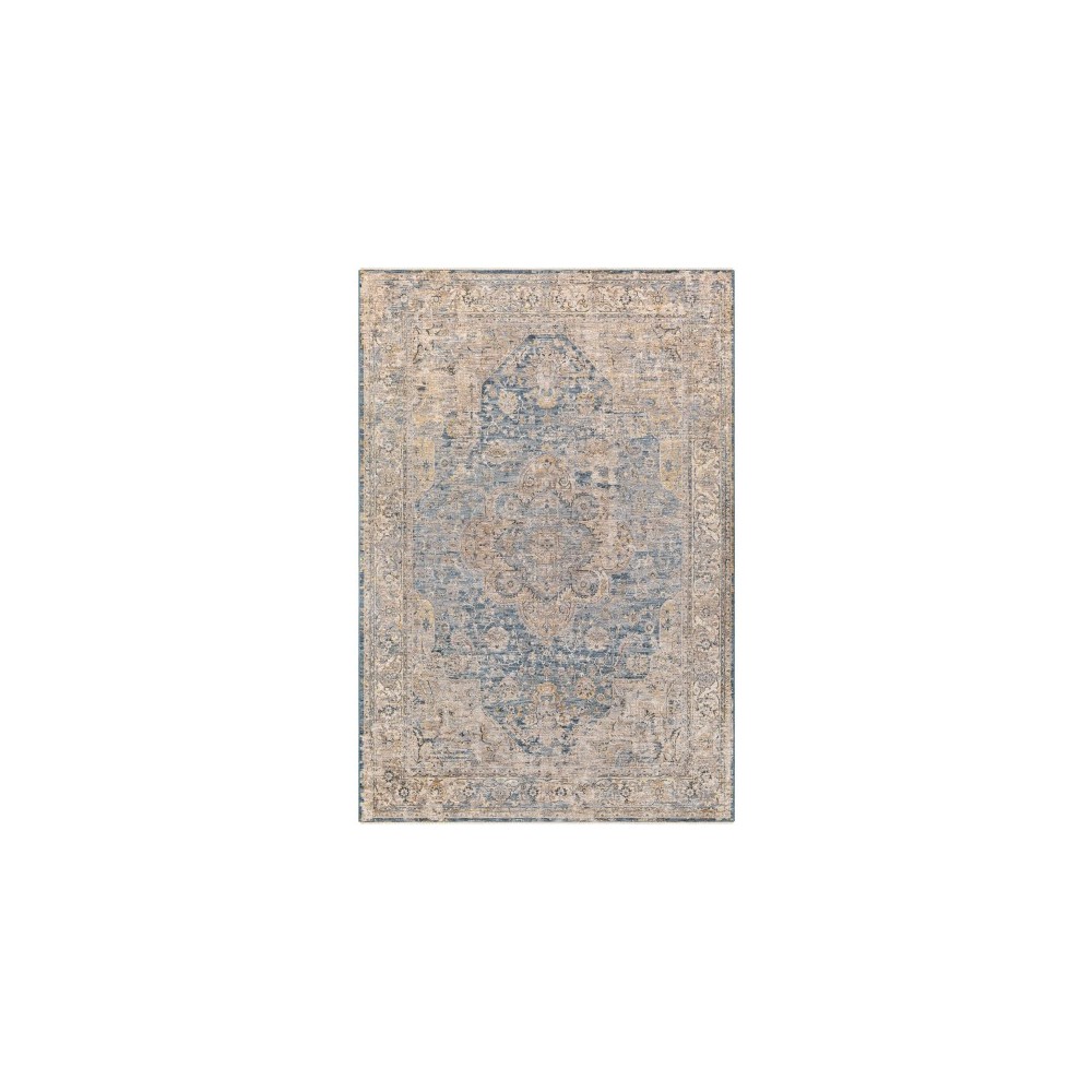 Surya Aspendos Aps-2304 Rug 6'7" X 9'6" Surya Aspendos Aps-2304 Rug 6'7" X 9'6"