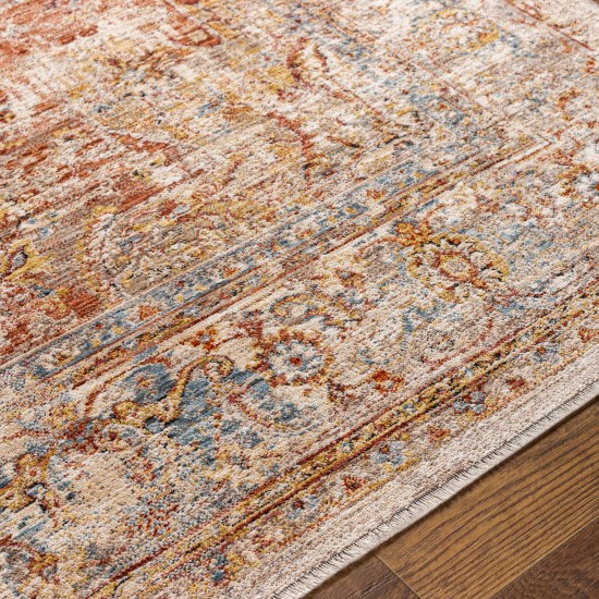 Surya Aspendos Rug 2' X 3' - Light Gray