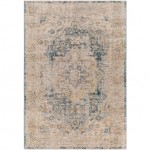 Surya Aspendos Aps-2307 Rug 2'7" X 4'