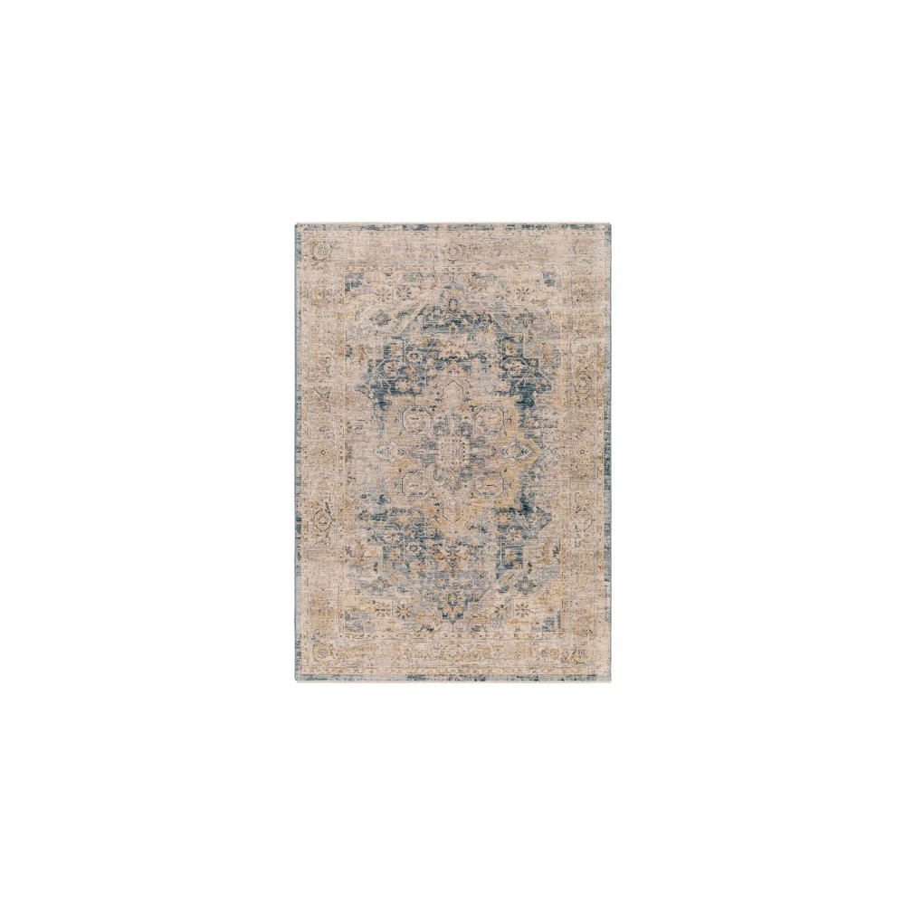 Surya Aspendos Aps-2307 Rug 2'7" X 4'