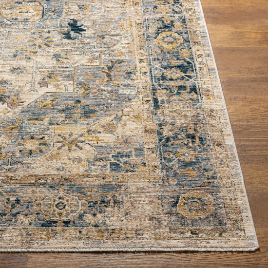 Surya Aspendos Rug 2' X 3' In Denim