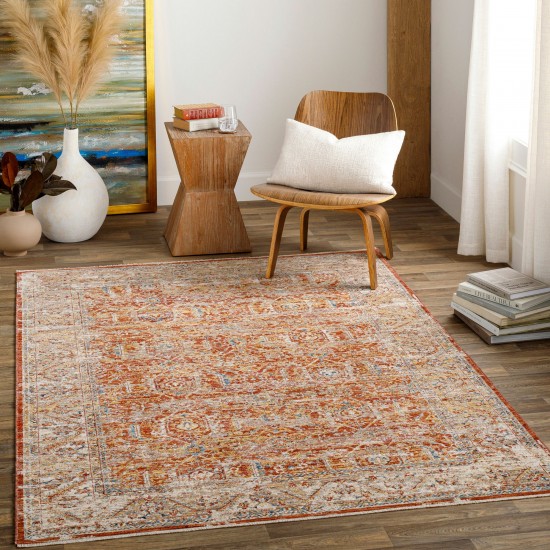 Surya Aspendos Rug 2'7" X 4' - Brick Red, Burgundy