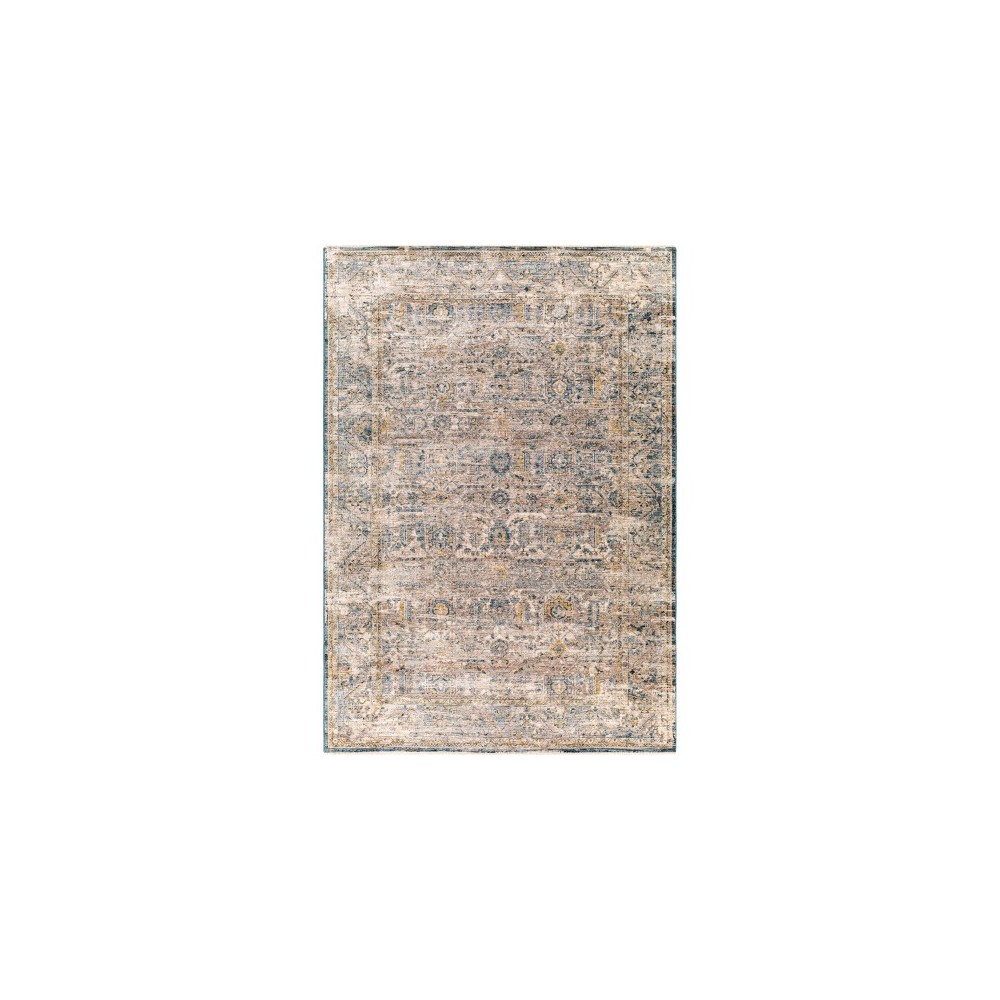 Surya Aspendos Denim Rug 2'7" X 4'